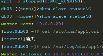 MySQL MHA故障模拟及恢复-MySQL学习笔记